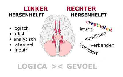 Linker versus rechterhersenhelft (bron: http://www.jungleminds.nl/artikelen/verhoog-conversie-door-in-te-spelen-op-de-linker-en-rechter-hersenhelft/ )
